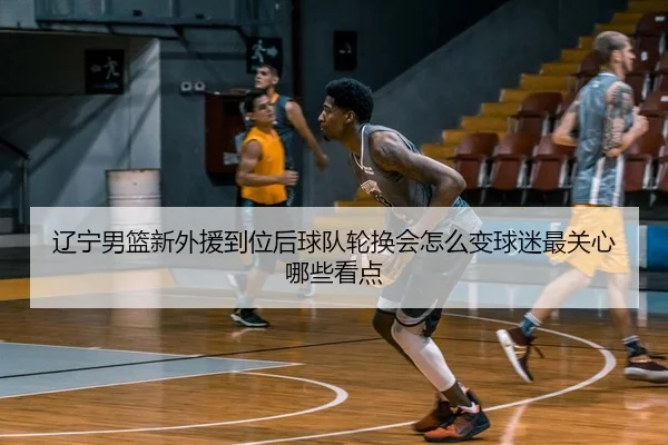 辽宁男篮新外援到位后球队轮换会怎么变球迷最关心哪些看点